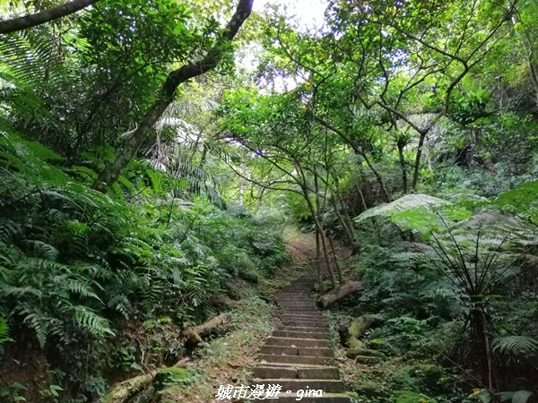 【新北土城】景色開闊。 No18小百岳~天上山步道