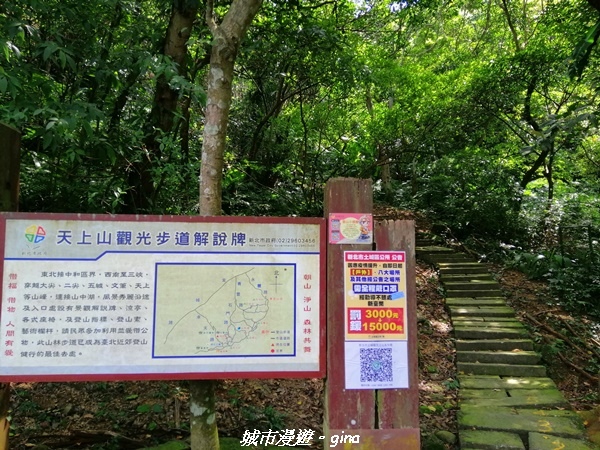 【新北土城】景色開闊。 No18小百岳~天上山步道