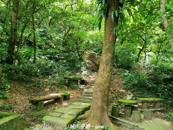 【新北土城】景色開闊。 No18小百岳~天上山步道