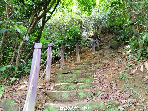 【新北土城】景色開闊。 No18小百岳~天上山步道