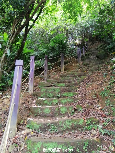 【新北土城】景色開闊。 No18小百岳~天上山步道