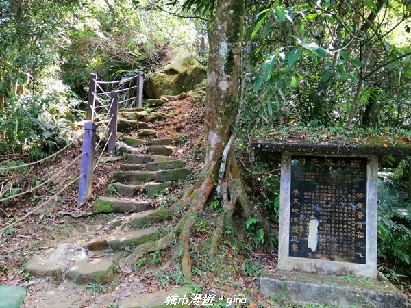 【新北土城】景色開闊。 No18小百岳~天上山步道