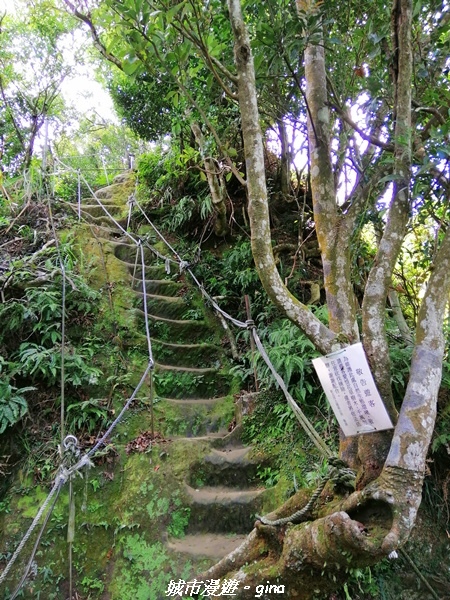 【新北土城】景色開闊。 No18小百岳~天上山步道