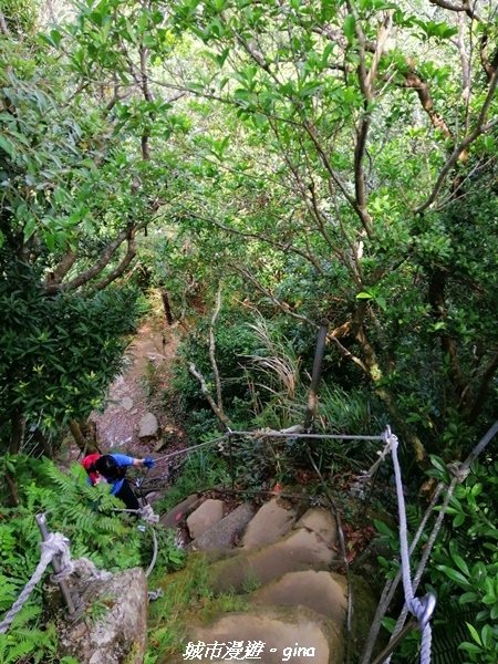 【新北土城】景色開闊。 No18小百岳~天上山步道