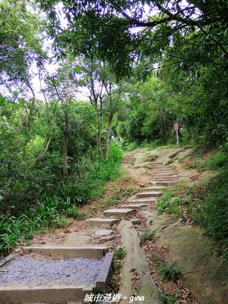 【新北中和】和緩親民步道。No16小百岳~南勢角山