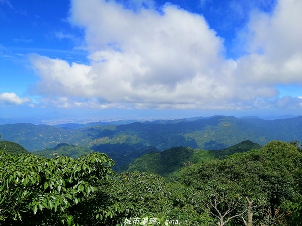 IMG_20211009_092704.jpg IMG_20211009_092704.jpg