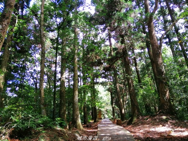 IMG_20211009_105620.jpg IMG_20211009_105620.jpg