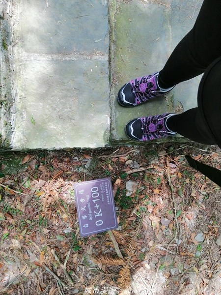 IMG_20211009_105859.jpg IMG_20211009_105859.jpg