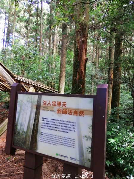 IMG_20211009_110620.jpg IMG_20211009_110620.jpg