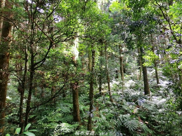 IMG_20211009_110626.jpg IMG_20211009_110626.jpg