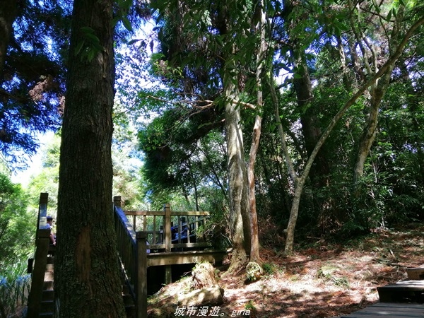 IMG_20211009_111123.jpg IMG_20211009_111123.jpg