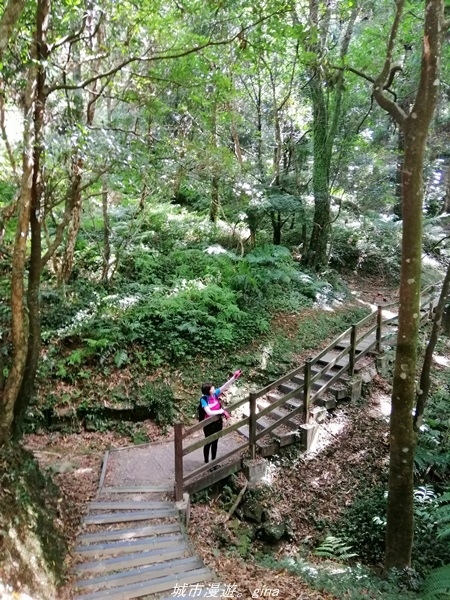 IMG_20211009_111337.jpg IMG_20211009_111337.jpg