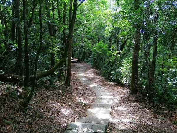 IMG_20211009_114744.jpg IMG_20211009_114744.jpg