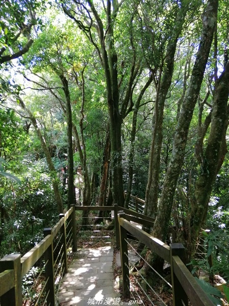 IMG_20211009_112835.jpg IMG_20211009_112835.jpg