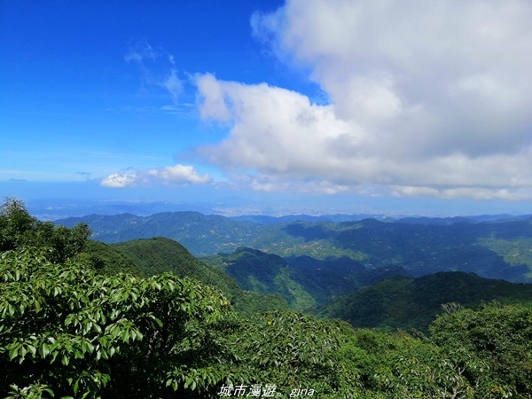 IMG_20211009_121519.jpg IMG_20211009_121519.jpg