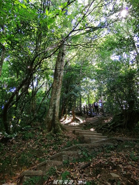 IMG_20211009_115733.jpg IMG_20211009_115733.jpg