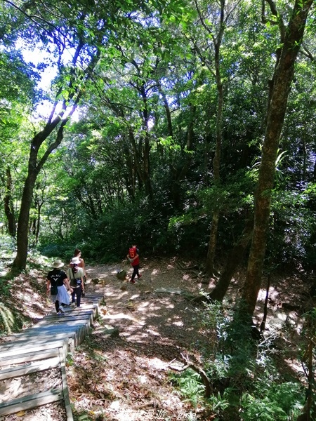 IMG_20211009_122541.jpg IMG_20211009_122541.jpg