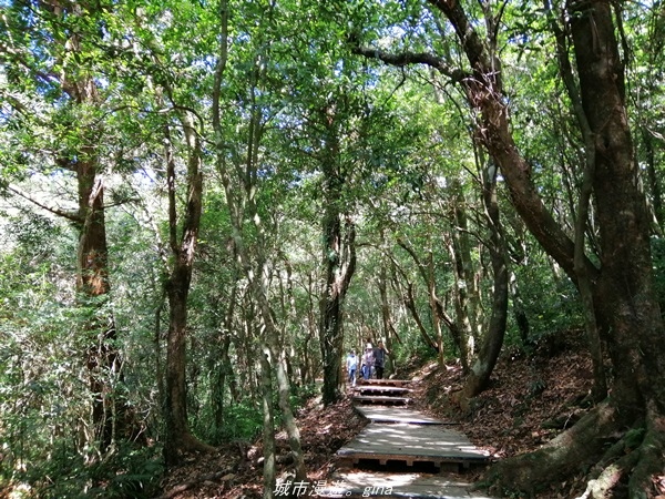 IMG_20211009_122933.jpg IMG_20211009_122933.jpg