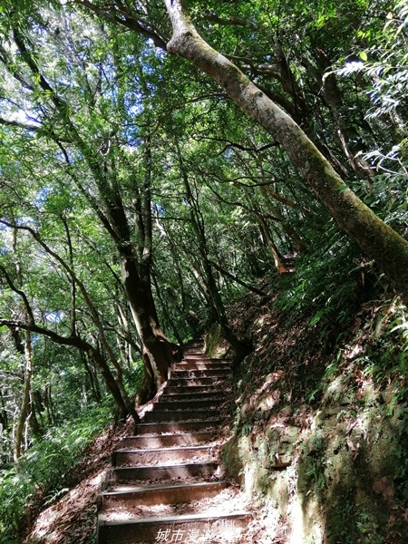 IMG_20211009_123524.jpg IMG_20211009_123524.jpg