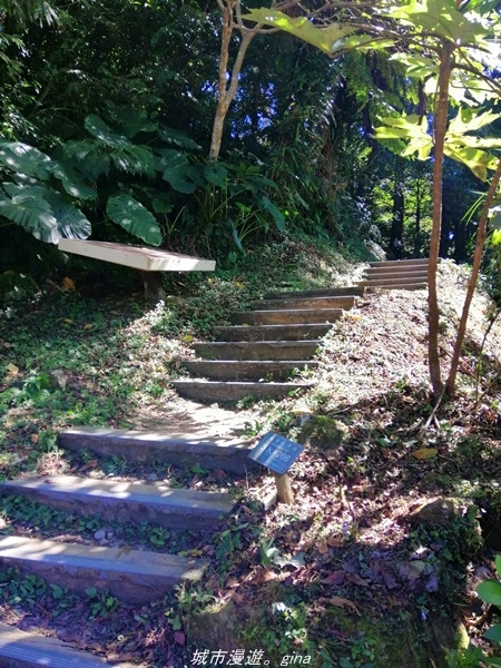 IMG_20211009_130501.jpg IMG_20211009_130501.jpg