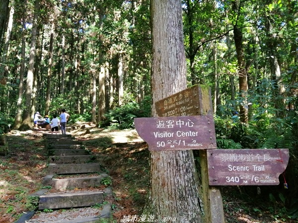 IMG_20211009_131353.jpg IMG_20211009_131353.jpg