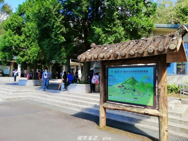 IMG_20211009_131610.jpg IMG_20211009_131610.jpg