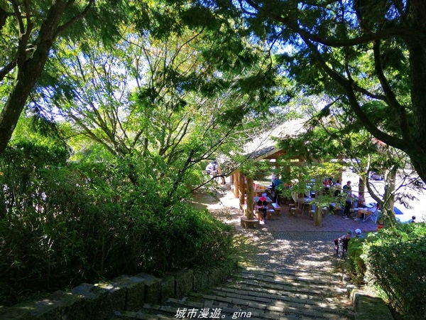 IMG_20211009_131912.jpg IMG_20211009_131912.jpg