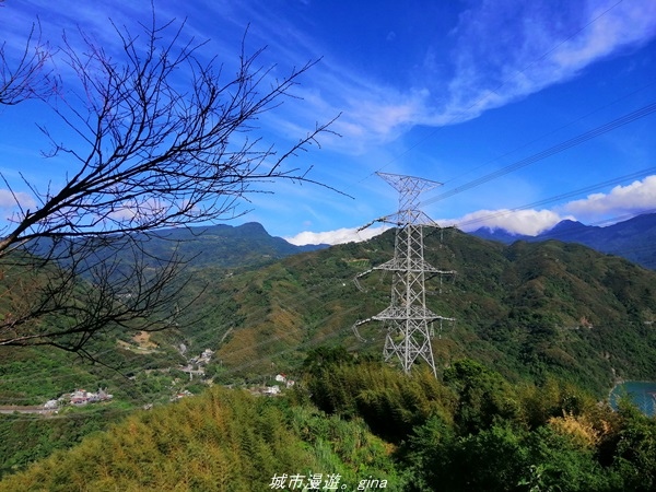 IMG_20211009_145313.jpg IMG_20211009_145313.jpg