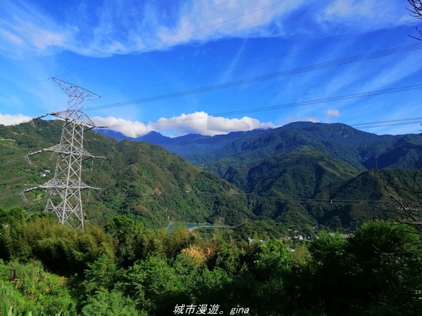 IMG_20211009_145331.jpg IMG_20211009_145331.jpg