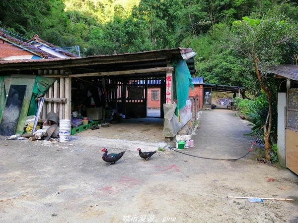 IMG_20211009_160340.jpg IMG_20211009_160340.jpg