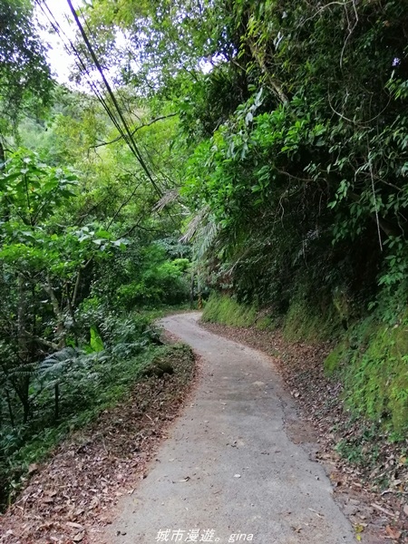 IMG_20211009_155529.jpg IMG_20211009_155529.jpg