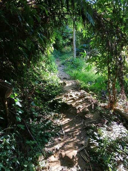 IMG_20211009_160835.jpg IMG_20211009_160835.jpg