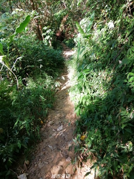 IMG_20211009_161037.jpg IMG_20211009_161037.jpg