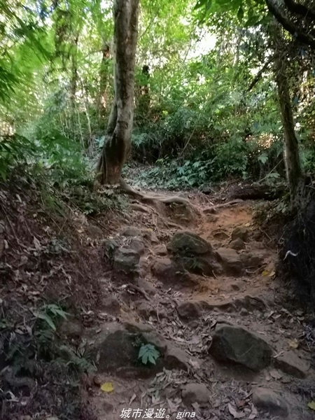 IMG_20211009_162610.jpg IMG_20211009_162610.jpg