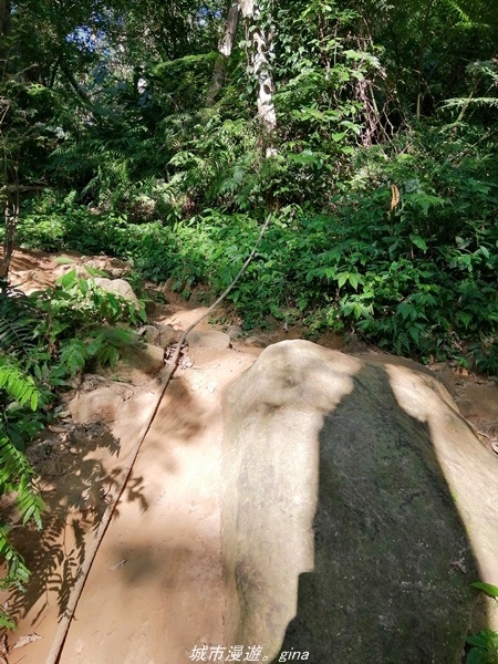 IMG_20211009_164116.jpg IMG_20211009_164116.jpg