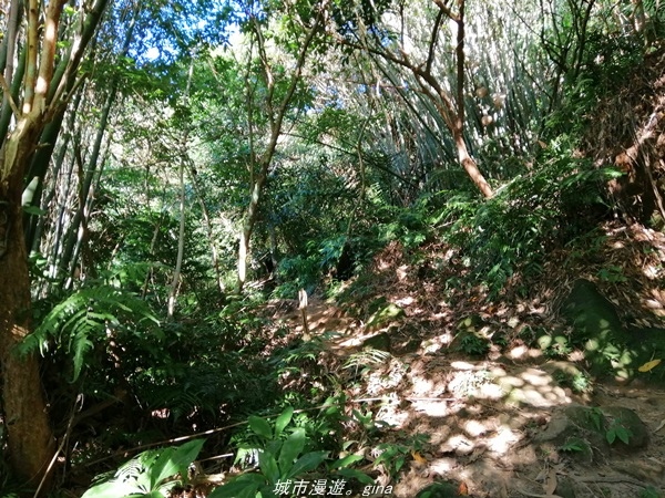 IMG_20211009_163551.jpg IMG_20211009_163551.jpg