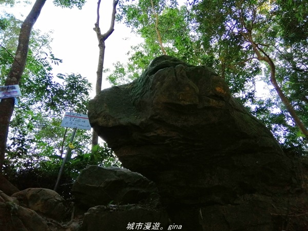 IMG_20211009_165321.jpg IMG_20211009_165321.jpg