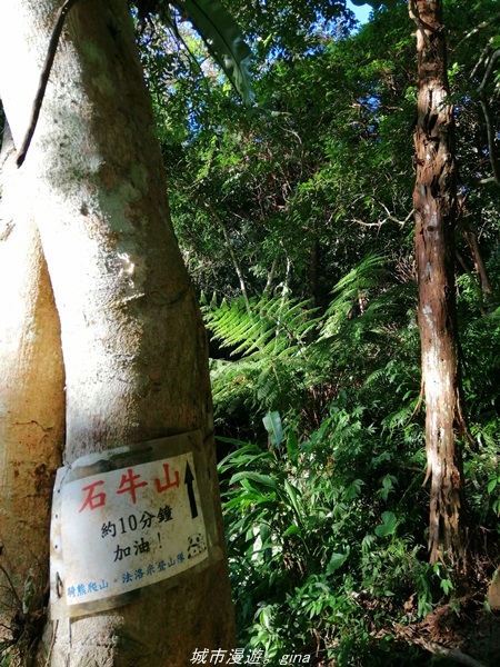 IMG_20211009_164445.jpg IMG_20211009_164445.jpg