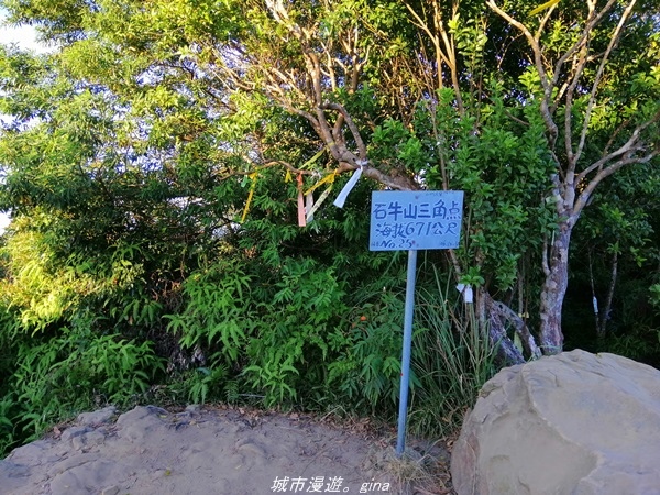 IMG_20211009_165827.jpg IMG_20211009_165827.jpg