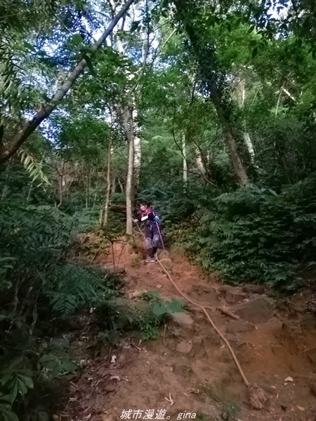 IMG_20211009_173256.jpg IMG_20211009_173256.jpg