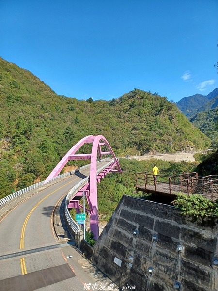 【桃園復興】有氧森呼吸。 山迢路遠超美的拉拉山神木群步道