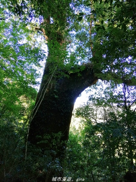 IMG_20211016_102723.jpg IMG_20211016_102723.jpg