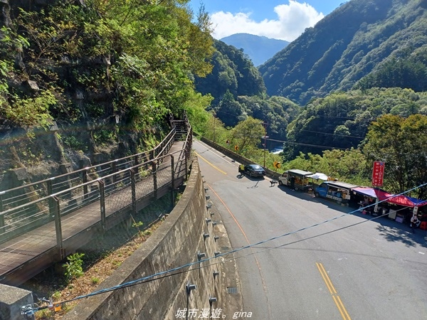 IMG_20211016_102616.jpg IMG_20211016_102616.jpg