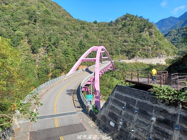 【桃園復興】有氧森呼吸。 山迢路遠超美的拉拉山神木群步道