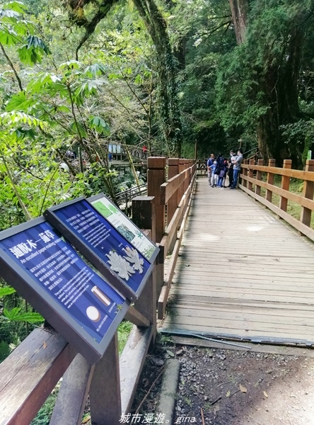 IMG_20211016_105609.jpg IMG_20211016_105609.jpg