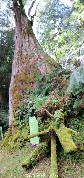 IMG_20211016_105623.jpg IMG_20211016_105623.jpg