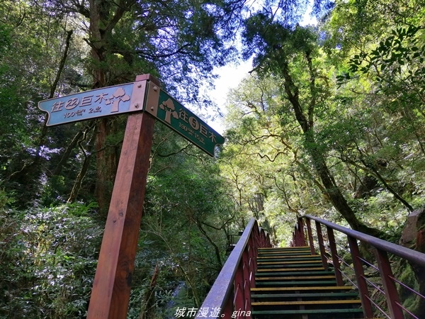 IMG_20211016_105803.jpg IMG_20211016_105803.jpg