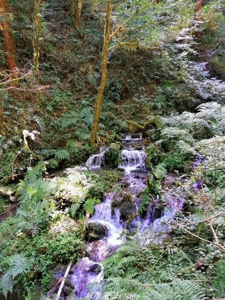 IMG_20211016_110205.jpg IMG_20211016_110205.jpg