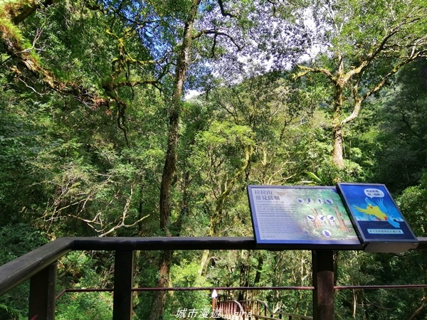 IMG_20211016_110731.jpg IMG_20211016_110731.jpg