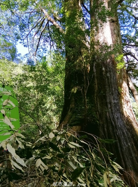 IMG_20211016_111101.jpg IMG_20211016_111101.jpg